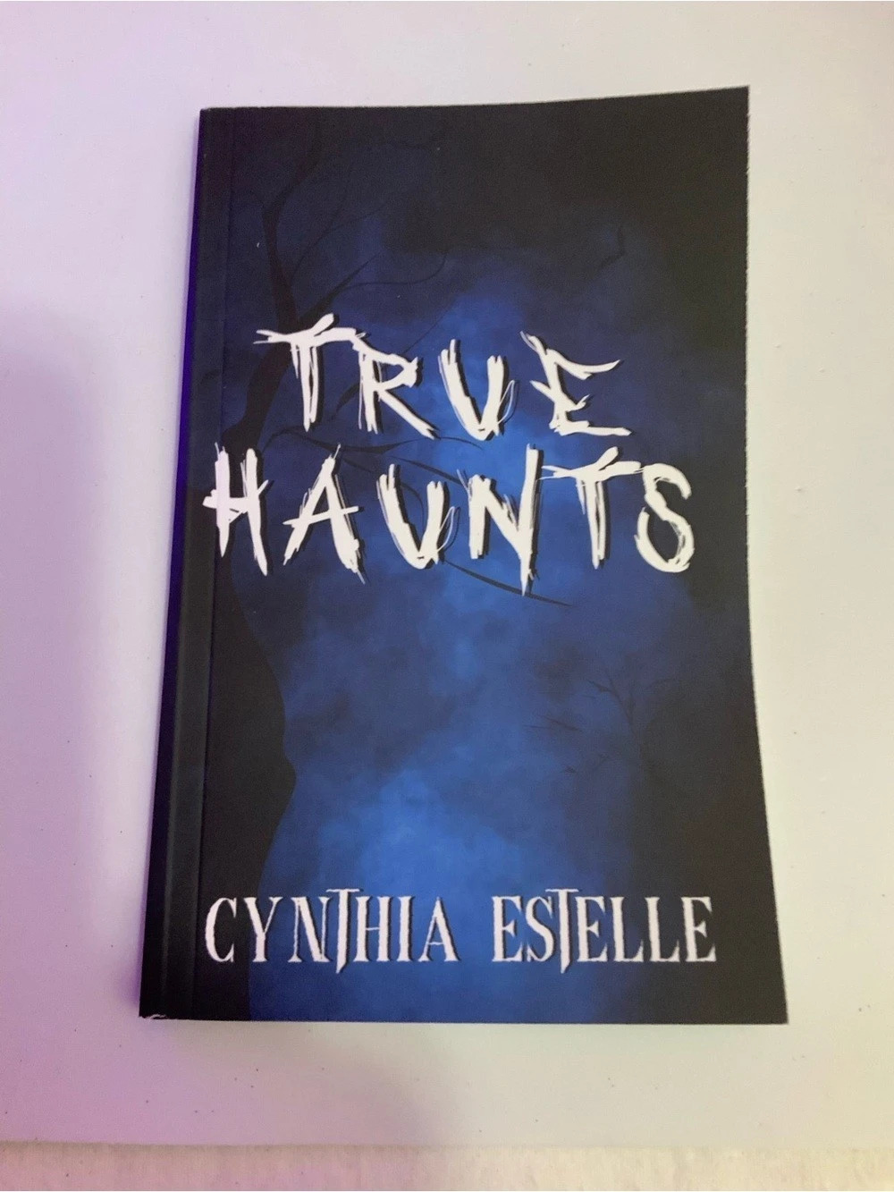 True Haunts Paranormal non-Fiction Paperback Black & Blue 60 Pages